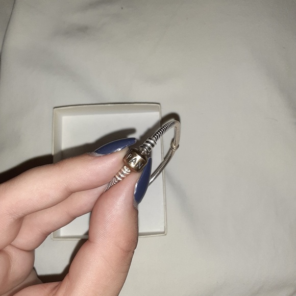 Pandora Charm Bracelet - Picture 2 of 2
